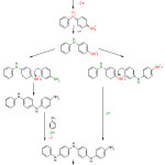 Figure 3: Mechanism of polyaniline formation 15,16.