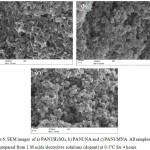 Figure 6: SEM images of a) PANI/H2SO4, b) PANI/NA and c) PANI/MNA. All samples were prepared from 1 M acids electrolyte solutions (dopant) at 0-1°C for 4 hours. 