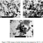 Figure 3: TEM, images of nickel ferrite powders prepared at 180 ○C,  4 h 