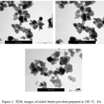 Figure 4:  TEM, images of nickel ferrite powders prepared at 180 ○C,  6 h 
