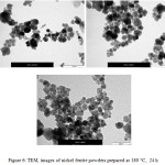 Figure 6: TEM, images of nickel ferrite powders prepared at 180 ○C,  24 h 
