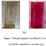 Figure 1: The photograph of (a) HAuCl4 0.2 mM (b) AuNPs reduced by L-ascorbic acid