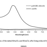 Figure 3: The UV-Vis spectra of the initial HAuCl4 and HAuCl4 after being reduced by L-ascorbic acid in the first minute