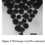 Figure  5: TEM images of AuNPs synthesized using L-ascorbic acid as reducing agent