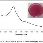 Figure 9: The UV-Visible spectra of AuNPs after aging for three months