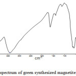 Figure 3: IR spectrum of green synthesized magnetite nanoparticle