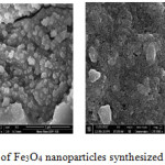 Figure 4: SEM images of Fe3O4 nanoparticles synthesized from chemical method