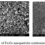 Figure 5: SEM images of Fe3O4 nanoparticles synthesized from green method	