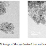 Figure 6: TEM image of the synthesized iron oxide nanoparticles