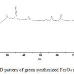 Figure 7: XRD pattern of green synthesized Fe3O4 nanoparticles.