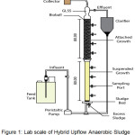 Figure 1: Lab scale of Hybrid Upflow Anaerobic Sludge Blanket Reactor (HUASBR).