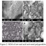 Figure 2: SEM of raw and acid activated palygorskite.