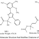 Figure 1: The Molecular Structure that Modifies Chalcone of MK1 and MK2.