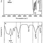 Figure 1: FTIR spectrum of (a) unmodified HAp and (b) highlights of chemical bonding of modified HAp-Fe crystals.