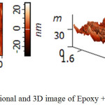 Figure 5b: Dimensional and 3D image of Epoxy + 2 wt. % of SiO2