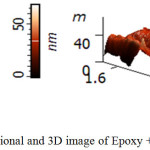 Figure 5d: Dimensional and 3D image of Epoxy + 4 wt. % of SiO2