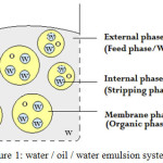 Figure 1: water /oil/ water emulsion system16