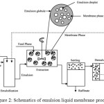 Figure 2: Schematics of emulsion liquid membrane process17