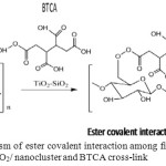 Figure 1: Mechanism of ester covalent interaction among fiber cellulose, TiO2/ chitosan/SiO2/ nanocluster and BTCA cross-link.