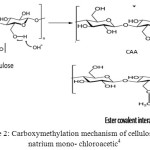 Figure 2: Carboxymethylation mechanism of cellulose by natrium mono-chloroacetic4