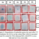 Figure 8: Degradation of malachite green dye spot after UV irradiation for 0-8 hr on the cotton fiber with (a) uncoated and (b) coated by TiO2/chitosan/SiO2 with BTCA cross link and (c) CAA cross-link.