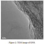Figure 2: TEM image of GNS.