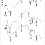 Figure 1: FTIR spectra from film: A. Alginate; B. Chitosan; C. Alginate-Chitosan.