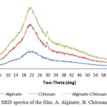 Figure 2: XRD spectra of the film: A. Alginate; B. Chitosan; C. Alg-Chi.