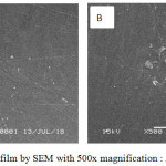 Figure 3: Surface of the film by SEM with 500x magnification : A: Alginate,  B:Chitosan.