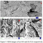 Figure 5: SEM images of (a) GO and (b) FLG respectively.