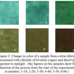 Figure 2: Change in color of a sample from cotton fabric moistened with chloride of bivalent copper and dried by exposure to sunlight.  (the figures on the samples show the duration of the process from the start of the experiment in minutes: 1-10; 2-20; 3-30; 4-40; 5-50; 6-60.