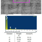 Figure 4: Electron picture and elemental composition of  origin sample of the cotton textile.