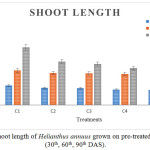 Figure 4: Shoot length of Helianthus annuus grown on pre-treated ETP sludge (30th, 60th, 90th DAS).