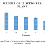 Figure 6: Weight of 25 seeds per plant (Helianthus annuus) grown on pre-treated ETP sludge.