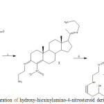 Figure 1: Preparation of hydroxy-hiexinylamino-4-nitrosteroid derivative (3).