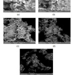 Figure 5: The results of the analysis of silver nanoparticles with SEM on (a) 5 μm scale, (b) 10 μm scale, (c) 20 μm scale, (d) 50 μm scale, and (e) 200 μm scale.