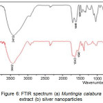 Figure 6: FTIR spectrum (a) Muntingia calabura L leaf extract (b) silver nanoparticles.