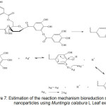 Figure 7: Estimation of the reaction mechanism bioreduction silver nanoparticles using Muntingia calabura L Leaf extract.