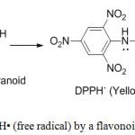 Figure 1: Scavenging of DPPH• (free radical) by a flavonoid (free radical scavenger).