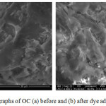 Figure 1: SEM micrographs of OC (a) before and (b) after dye adsorption (4000x).