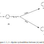 Figure 1: 1, 3 - dipolar cycloaddition between (A) and (B).