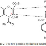 Figure 2: The two possible cyclization modes.