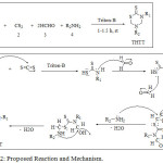 Scheme 2: Proposed Reaction and Mechanism.