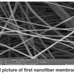 Figure 5: SEM picture of first nanofiber membrane (Mem.1).