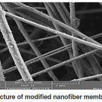 Figure 6: SEM picture of modified nanofiber membrane (Mem. 2).