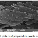Figure 7: SEM picture of prepared zinc oxide nanoparticles.