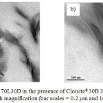 Figure 4: TEM images of 70L30D in the presence of Cloisite®30B 3wt% at (a) low magnification and (b) high magnification (bar scales = 0.2 mm and 100 nm, respectively).