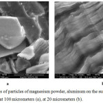 Figure 1: SEM images of particles of magnesium powder, aluminum on the surface of ammonium nitrate in resolutions at 100 micrometers (a), at 20 micrometers (b).