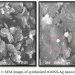 Figure 3: SEM images of synthesized rGONS-Ag nano composites.