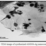 Figure 5: TEM image of synthesized rGONS-Ag nano composites.